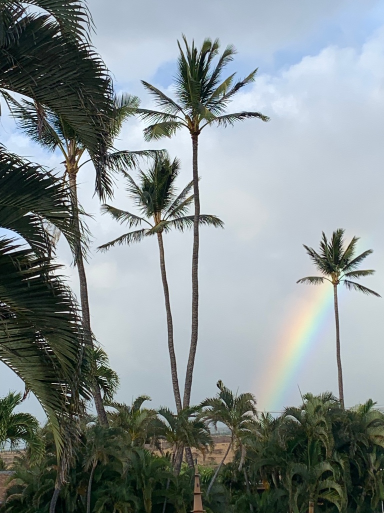 Maui Hawaii rainbow 